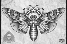 butterfly tattoo