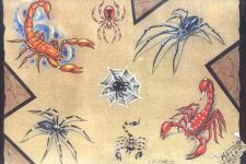 spider tattoo