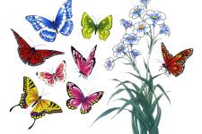 butterfly tattoo