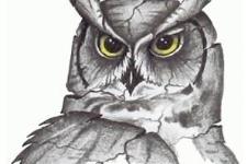 owl tattoo