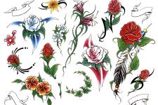 rose tattoo