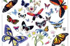 butterfly tattoo