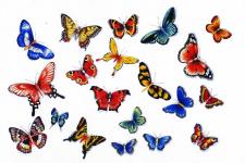 butterfly tattoo