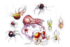  spider tattoo