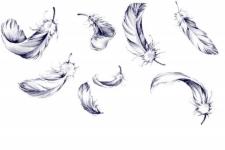 feather tattoo