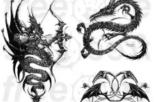 dragon tattoo