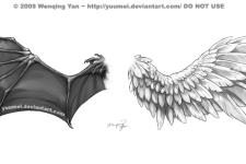 wing tattoo