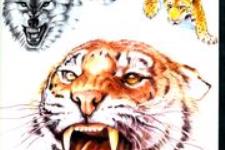 tiger tattoo