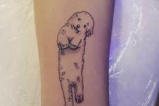 küçük köpek dövmeleri