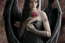 angel tattoo