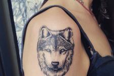 kurt dövme- kurt tattoo