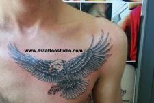 göğüse kartal dövmesi, kartal tattoo