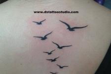 martı tattoo,sırt dövmesi,küçük martı dövmesi