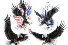 eagle tattoo 