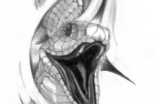 snake tattoo