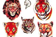 tiger head tattoo