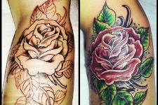 kesik kapatma-cover up