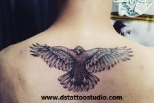 kartal dövme modelleri